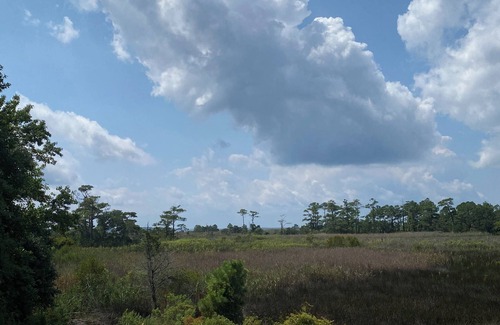 Kitty Hawk Cottage | Marsh Cottage