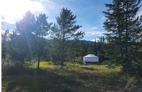 Yukon Apartment | Marshian Yurt