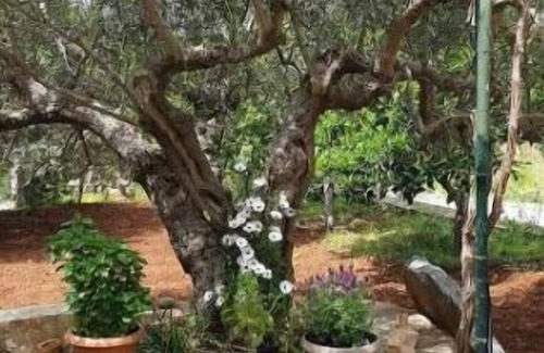 Kounelion House | Martha's Home in Fourni Village Crete