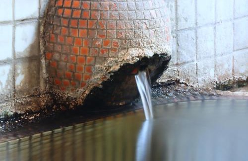 Yudanaka Shibu Onsen Hotel | Maruka Ryokan