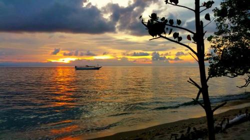 Moyo House | Maryan Moyo Bungalows & Resto