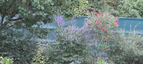 Beaucaire Bed & Breakfast | Mas