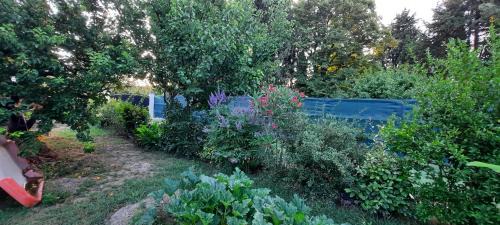 Beaucaire Bed & Breakfast | Mas