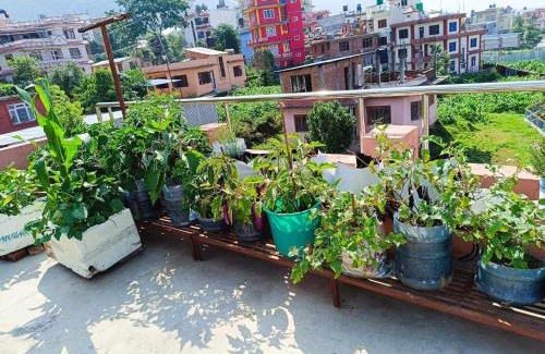 Kathmandu House | Matatirtha Community Homestay