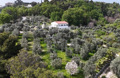 Vico del Gargano Bed & Breakfast | MATHEMATIC GREEN - A look at nature