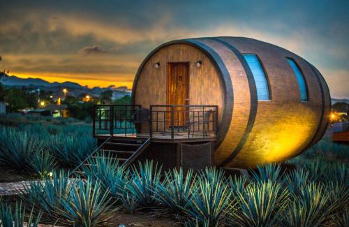 Tequila Hotel | Matices Hotel de Barricas
