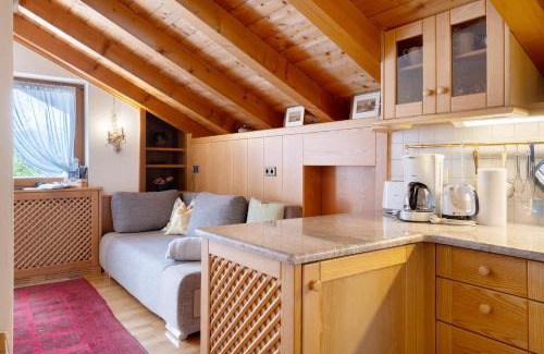 Plaus Apartment | Mayr Apartments Fünf
