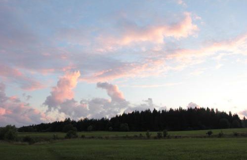 Kowale Oleckie House | Mazury Garbate. Dom II przy Cisowym Jarze