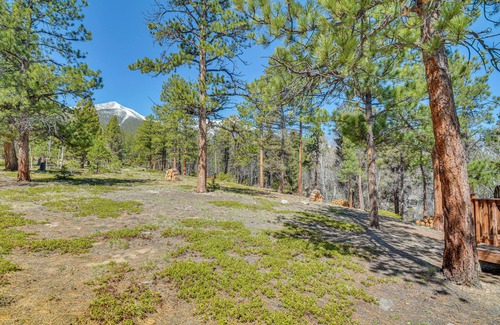 Buena Vista Cabin | 'McCall Creekside Cabin' Secluded Buena Vista Gem!