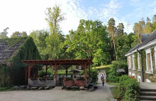 Tervete Other | Meža namiņi Sprīdīši