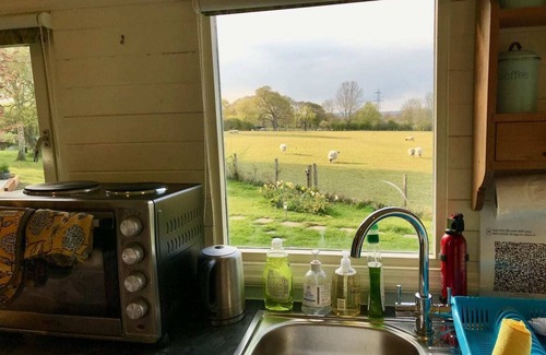 Cowbeech Cabin | Meadowsweet - luxury Shepherd's Hut, amazing views
