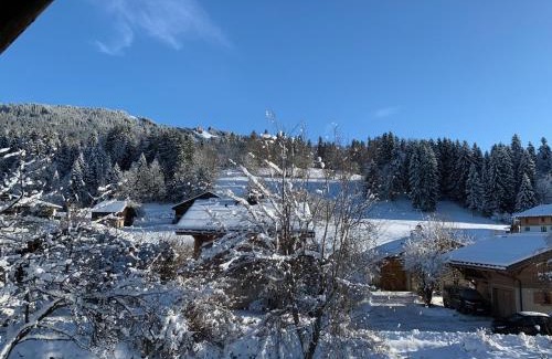 Megeve Ski Chalet | Megève - Chalet Yack - Premium jusqu'à 15 pers