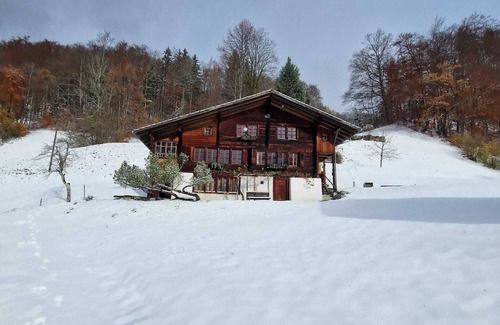 Schwanden bei Brienz Ski Chalet | Meieli's Chalet