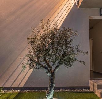 Sarvar Apartment | Melomi Apartman