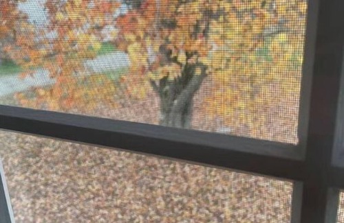 Mercer Apartment | Mercer Apartment in the Valley-Peaceful Country!