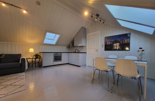Trondheim House | Mercury House, Cathedral View! Free parking!