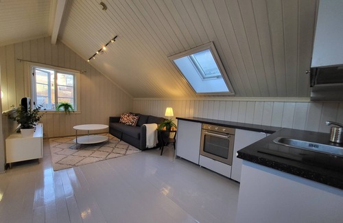 Trondheim House | Mercury House, Cathedral View! Free parking!