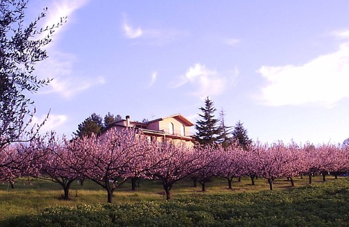 Morrona Apartment | Meriggio apartment, Charming Farmhouse Private Pool and Private Outside Area