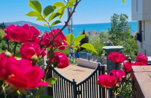 Sinop House | MERKEZDE DOGAYLA İÇ İÇE DENİZE 100 METRE MESAFEDE BUNGALOV.