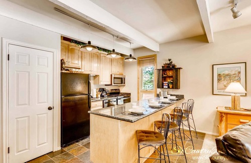 Four O'Clock Condo | Meticulously Appointed Spacious Condo - Ideal Location Near Town/Slopes SDW5