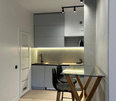 Halyts'kyi district Apartment | MIAMO apart Студія з терасою вул Кубійовича 20