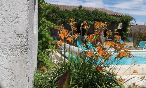 Saint-Laurent-d'Aigouze Bed & Breakfast | Michèle et Didier Lin