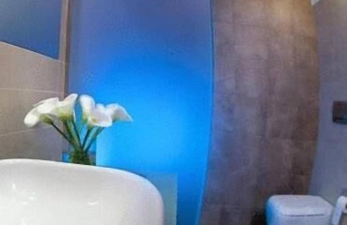 Forli Hotel | Michelangelo Hotel