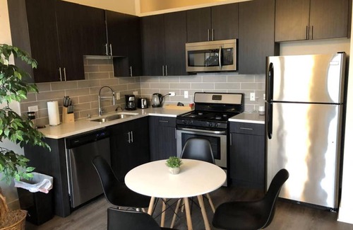 Near South Side Apartment | Michigan avenue 2br2ba with Optional parking 303