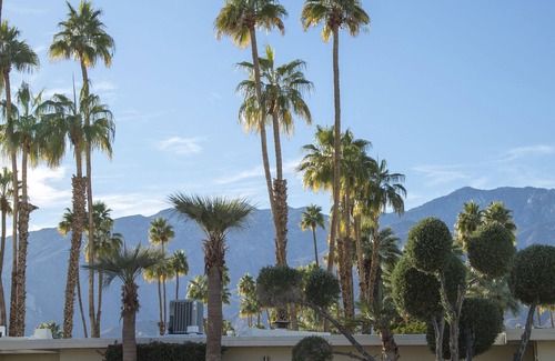 Araby Commons Condo | Mid Century 3 bedroom Condo in South Palm Springs