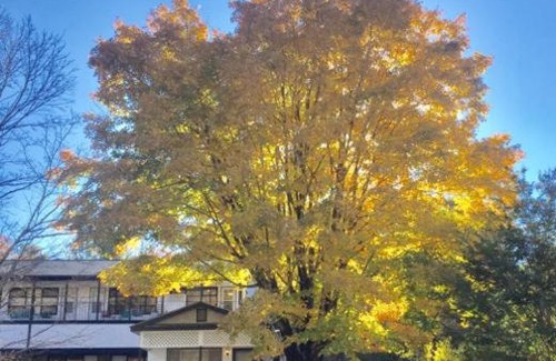 Flat Rock Cabin | Mill House Lodge - Flat Rock