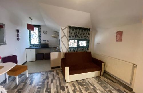 Craiova Apartment | Millenium apartment central