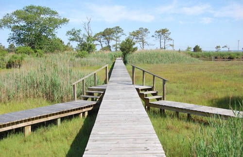 Chincoteague House | Miller's Marsh - Marsh & Wetland Views
