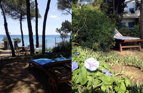 Cala Liberotto Apartment | Mini apartment with veranda and in a garden by the sea