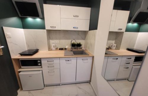 Stare Miasto District Apartment | Mini Apartamenty Poznań