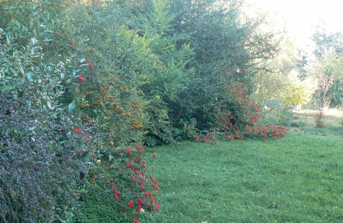 Caltanissetta Villa | Mini apartment in villa Via Monte San Giuliano 23 Caltanissetta