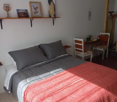 Valdivia Apartment | Mini Casa Rocura Valdivia