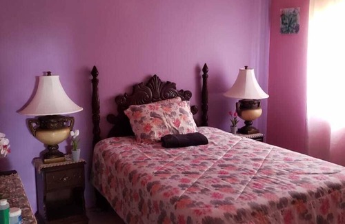 New Hope House | Mini Cozy Lodging