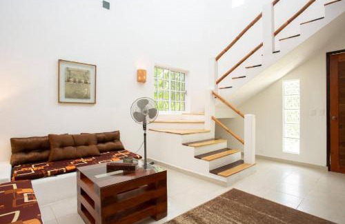 Cozumel House | Mini Pini Birdwatching and cenote loft4 you only