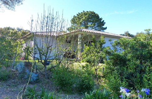 Porto-Vecchio House | Mini villa in the heart of a pretty garden