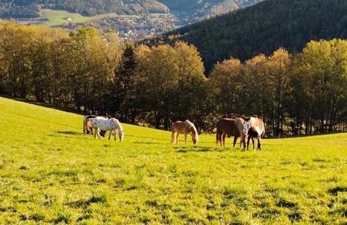Payerbach Apartment | Miniferienwohnung für unkompliziertes Naturliebhaberpärchen