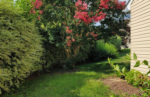 Northeast Raleigh House | minutes from downtown 3br stylishhome-free parking