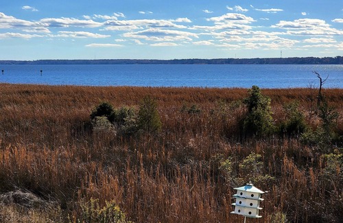 Fairfield Harbour Condo | Minutes from downtown New Bern