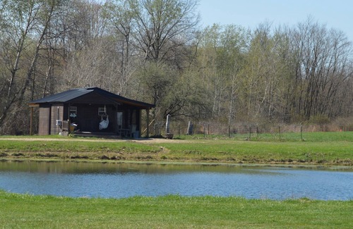Westford Cabin | Minutes from Pymatuning, Cabin by the Pond