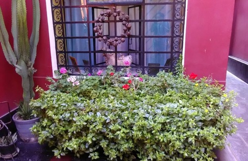 Miraflores House | Miraflores Vintage/Central Cozy Furnished Home Discover the Charm of Balta Zng