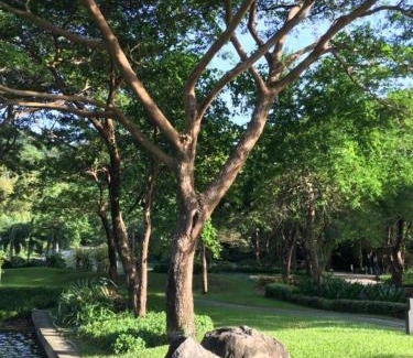 Nasugbu Hotel | Miranda A 616 - Cozy Retreat at Pico De Loro Beach, Nasugbu Batangas