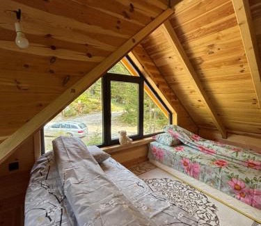 Montenegro Ski Chalet | Mirsads Mountain Cottage