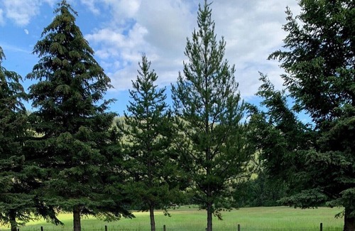 Okanagan-Similkameen Cabin | Missezula Lake Cabin 7 min walk to Beach & Lake