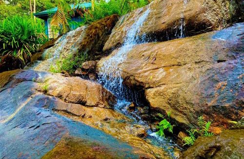 Nelluwa Hotel | Mist of sinharaja eco lodge