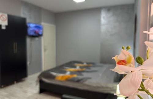 Nis House | Mitić Apartmani 1
