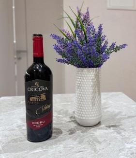 Chisinau Apartment | MK Luxury Serviced Apartments #3